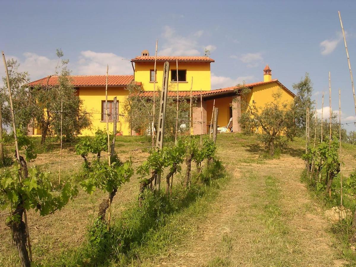 Villa In Campagna Costa Al Bagno Montopoli in Val dʼArno Exteriér fotografie