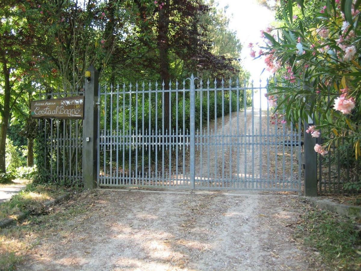 Villa In Campagna Costa Al Bagno Montopoli in Val dʼArno Exteriér fotografie